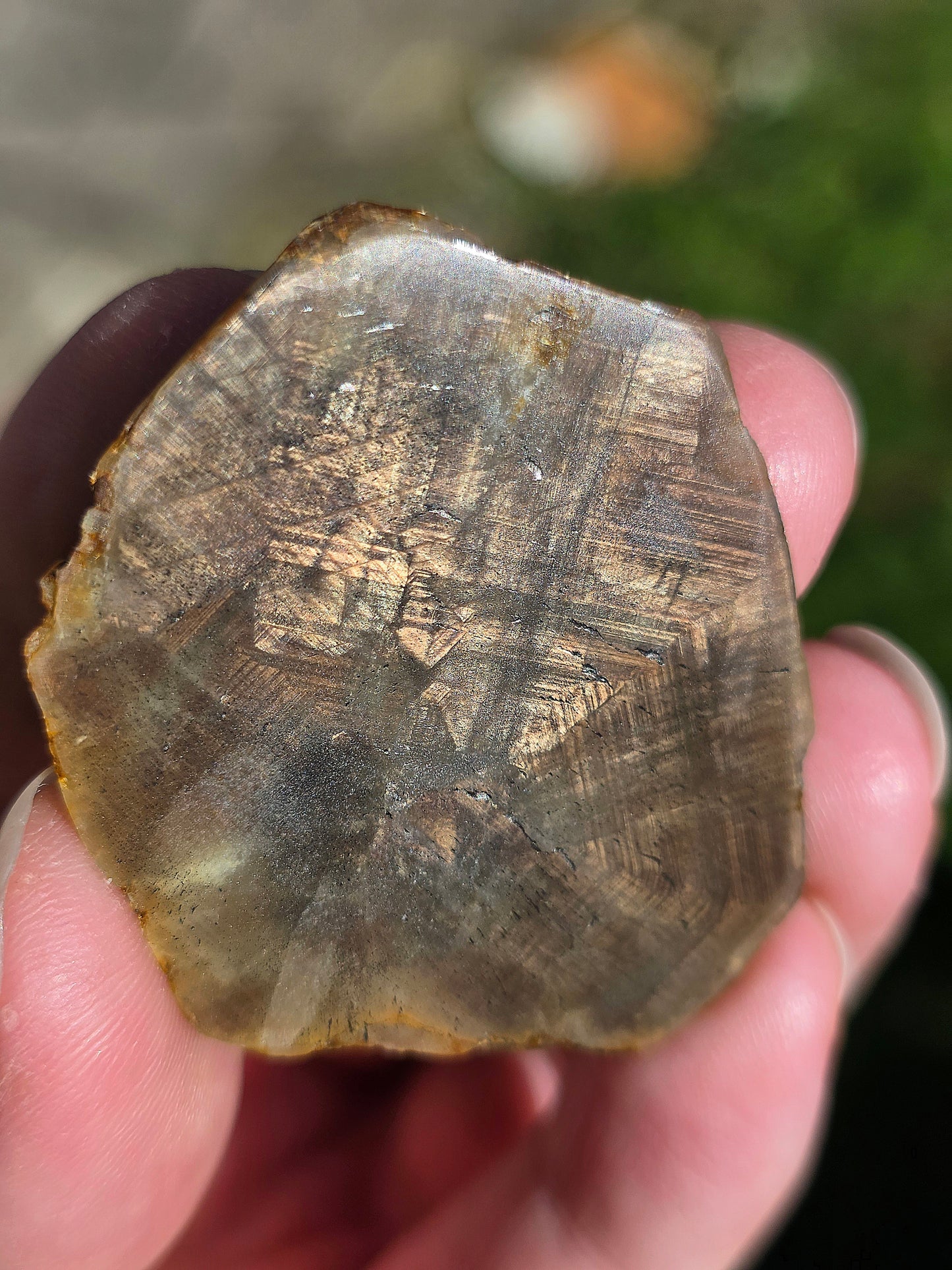 Saphir brun doré de Thaïlande n°2