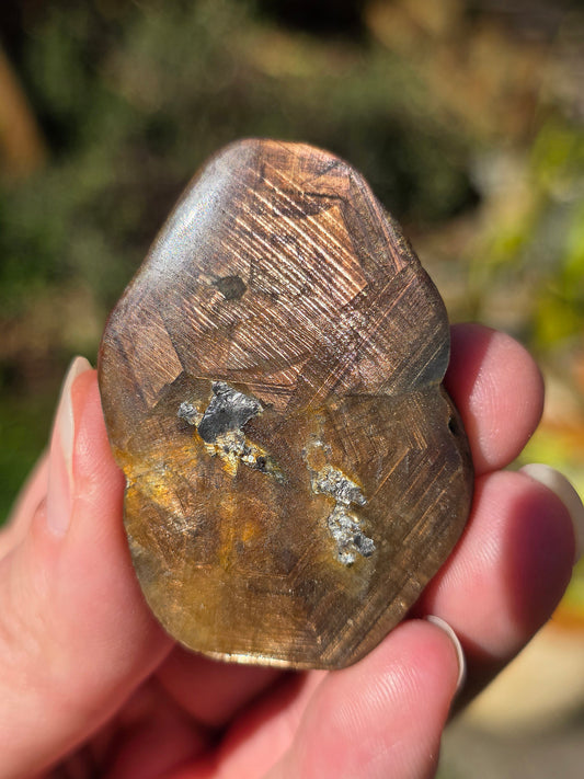 Saphir brun doré de Thaïlande  bicolore