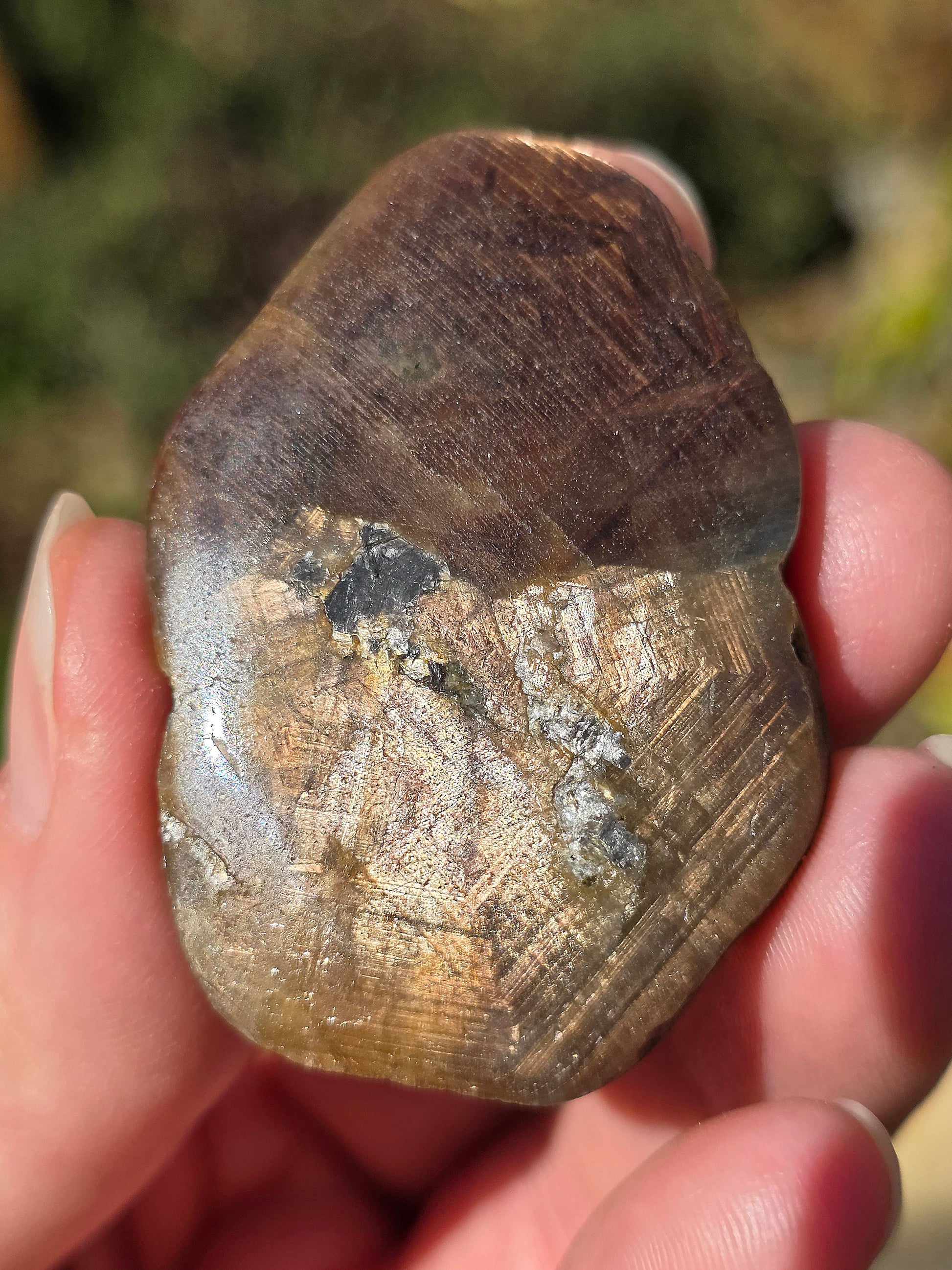 Saphir brun doré de Thaïlande 