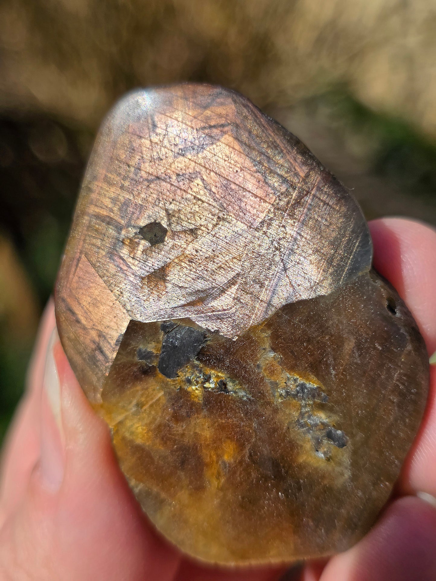 Saphir brun doré de Thaïlande n°3