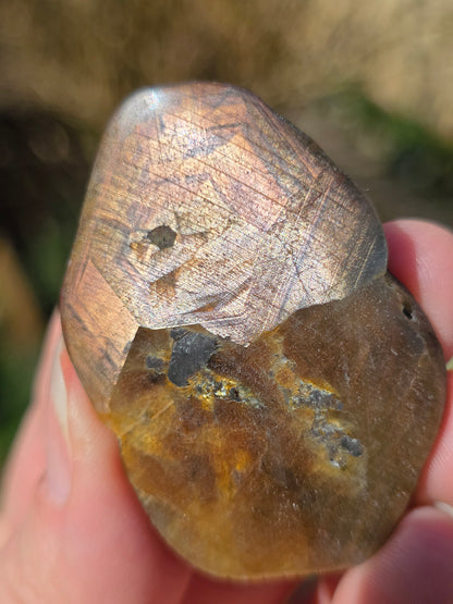 Saphir brun doré de Thaïlande 