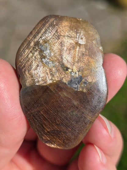 Saphir brun doré de Thaïlande n°3