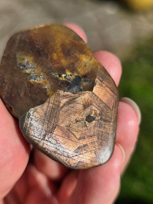 Saphir brun doré de Thaïlande cristallisation exceptionnelle