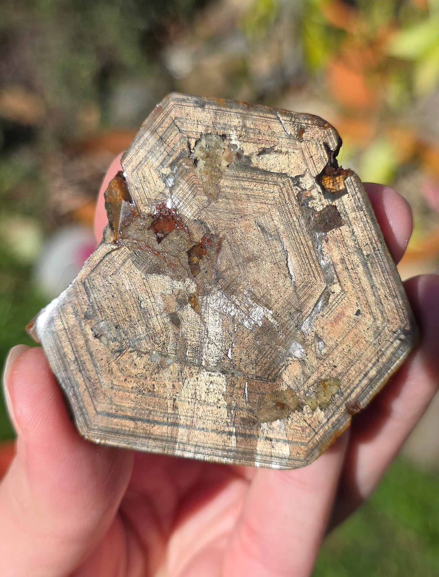 Saphir brun doré de Thaïlande