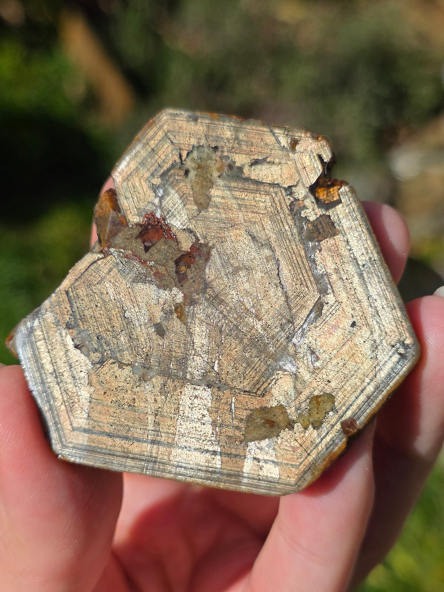 Saphir brun doré de Thaïlande