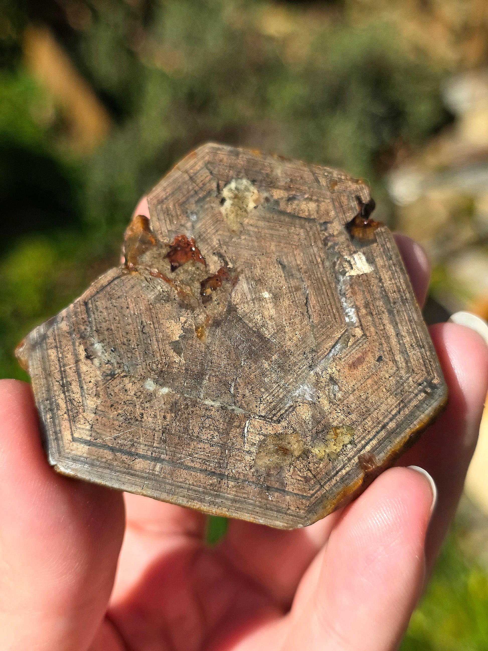 Saphir brun doré de Thaïlande