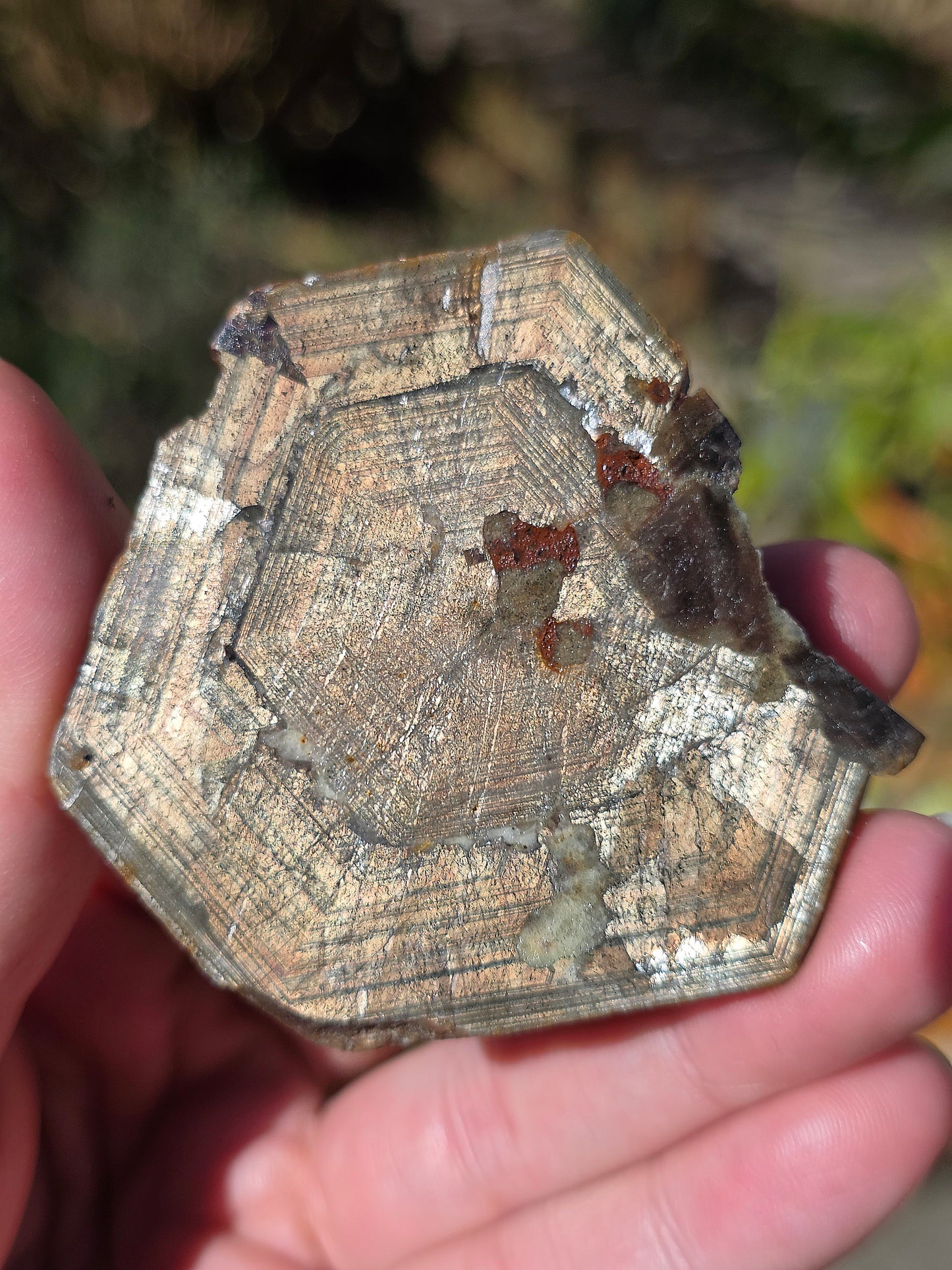 Saphir brun doré de Thaïlande