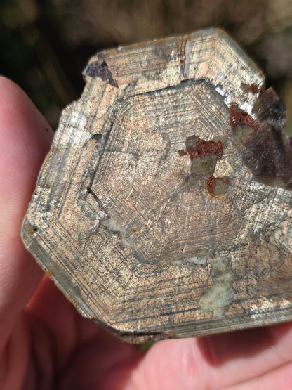 Saphir brun doré de Thaïlande n°4