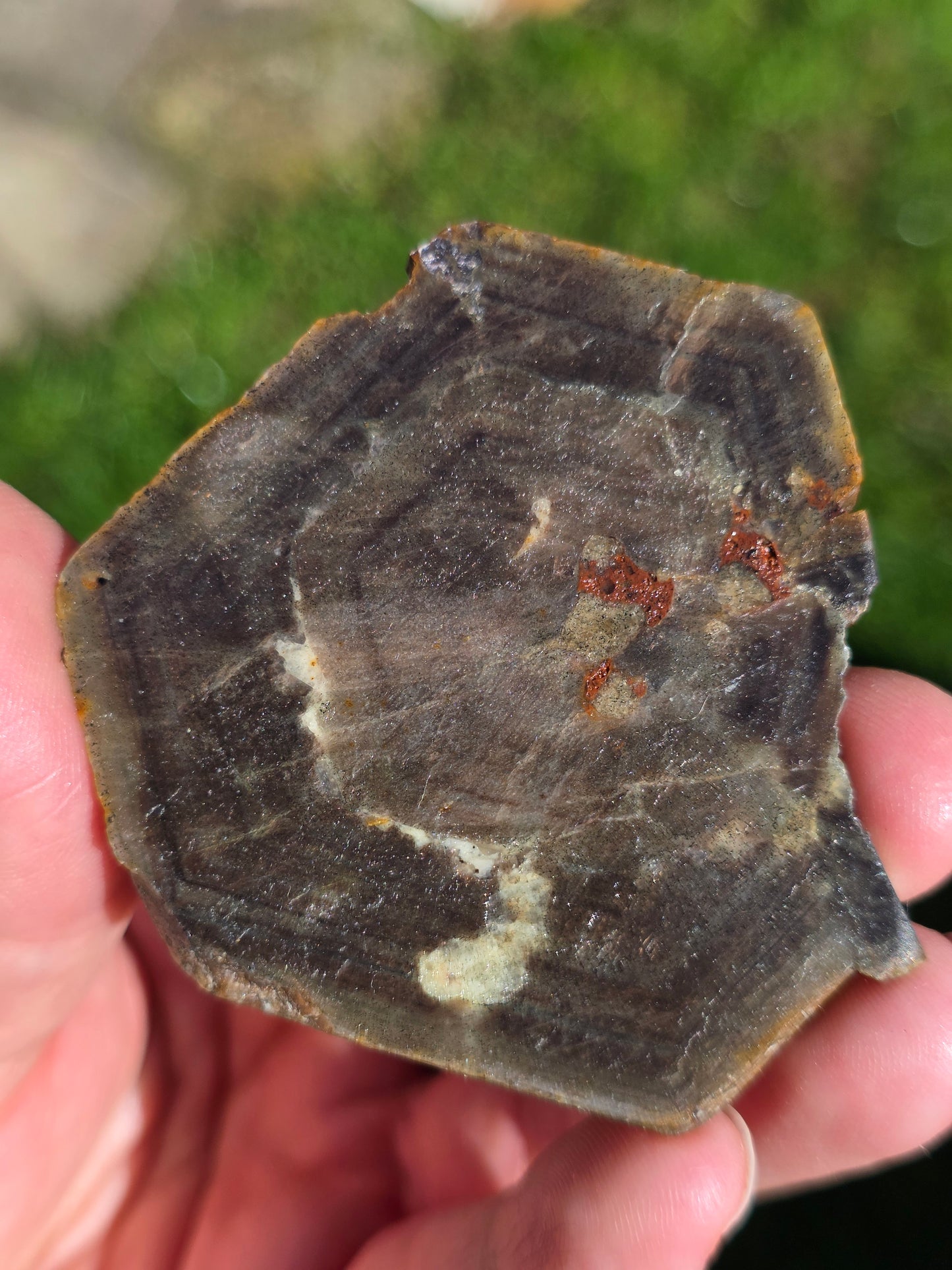 Saphir brun doré de Thaïlande n°4