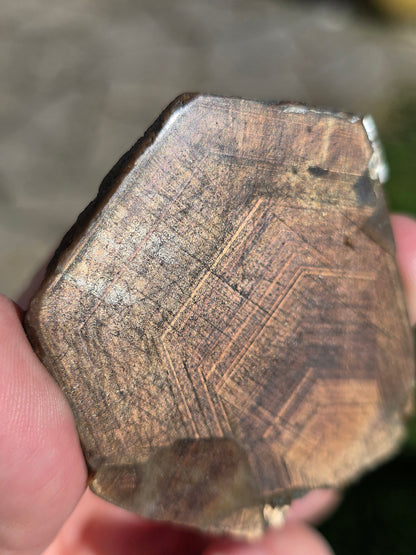 Magnifique Saphir brun doré de Thaïlande