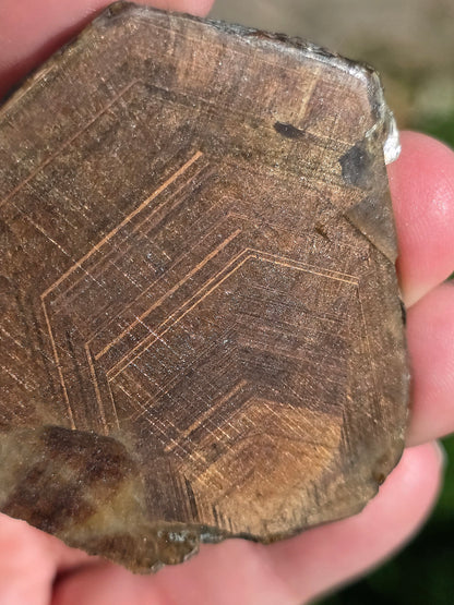 Magnifique Saphir brun doré de Thaïlande