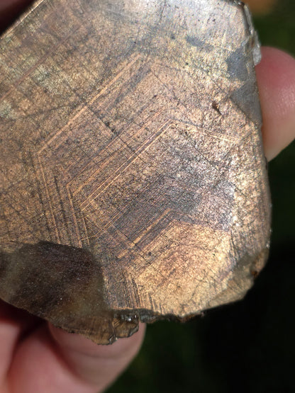 Saphir brun doré de Thaïlande n°5