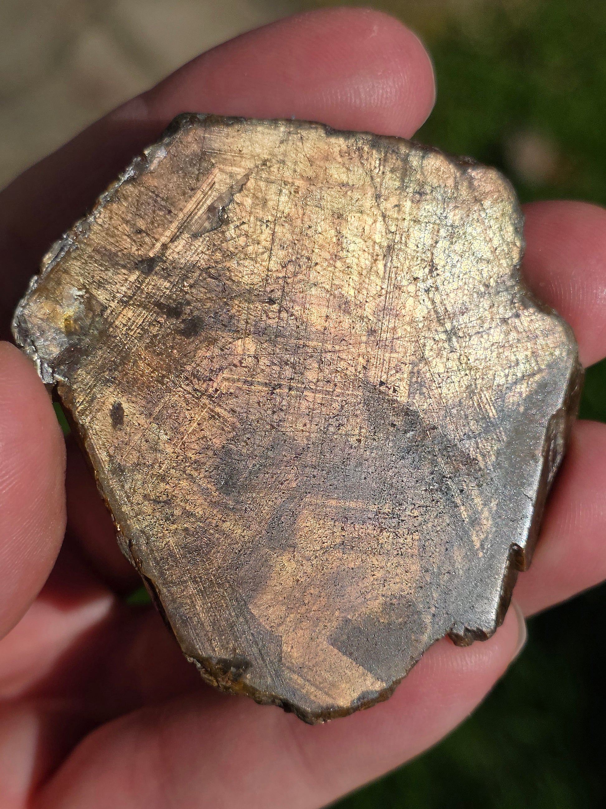 Saphir brun doré de Thaïlande