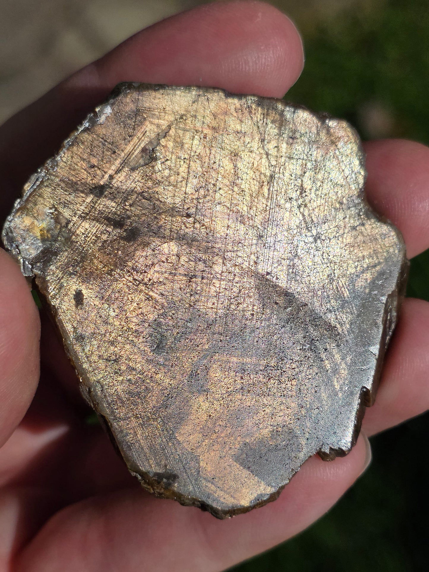 Saphir brun doré de Thaïlande n°5