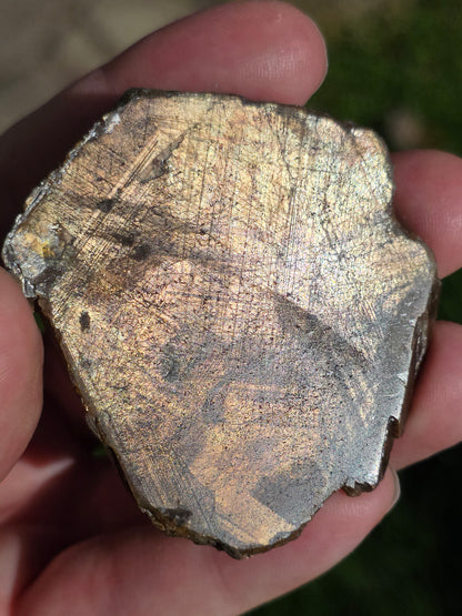 Saphir brun doré de Thaïlande n°5