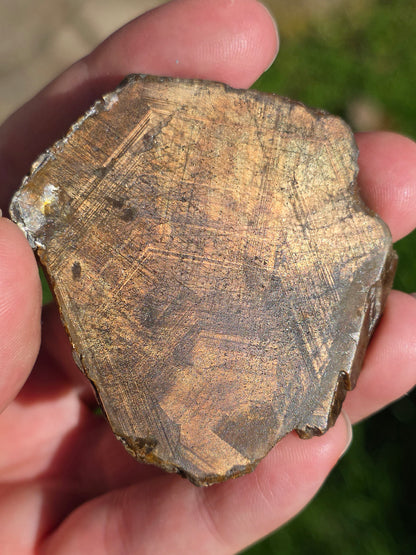 Saphir brun doré de Thaïlande