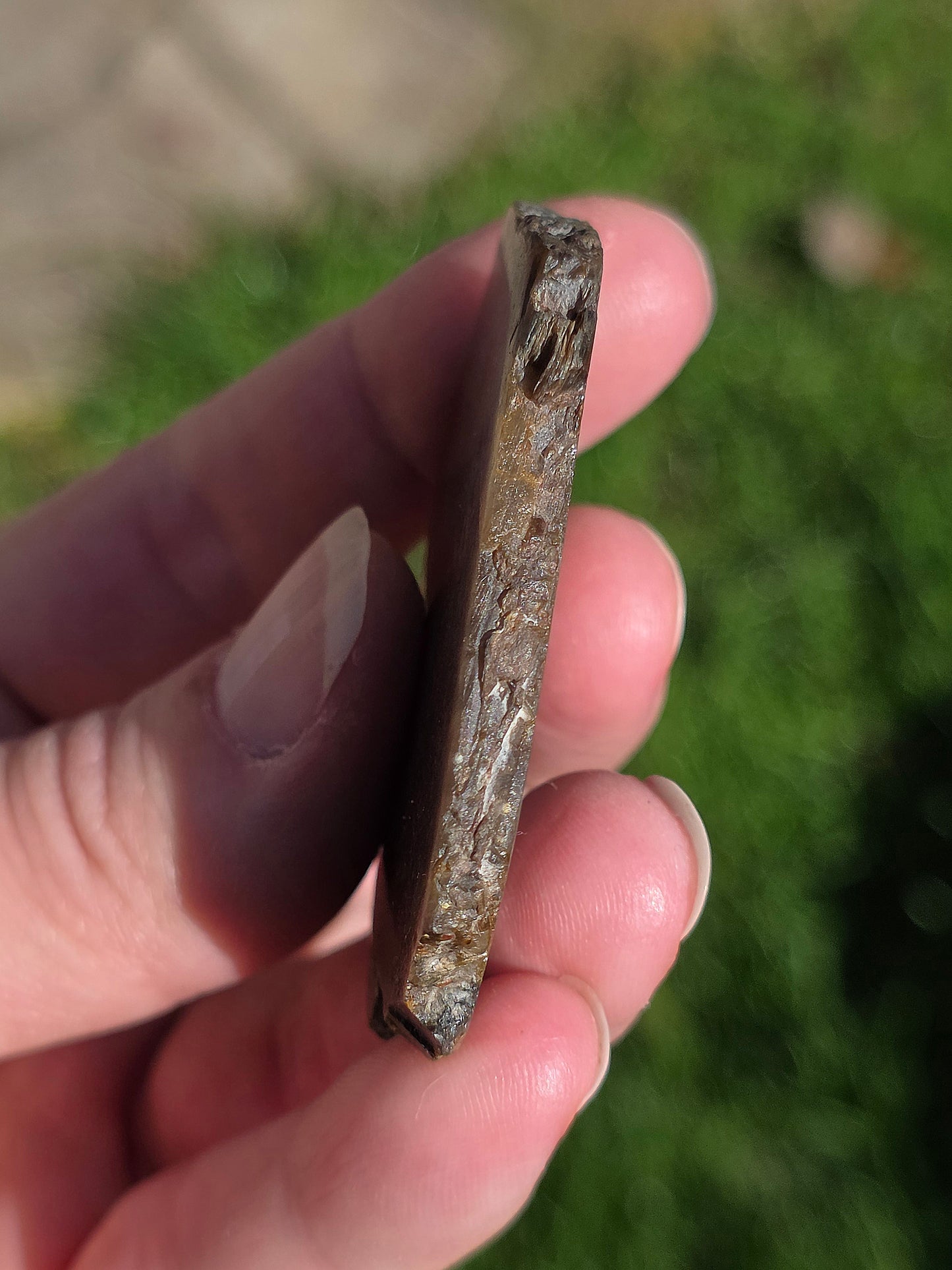 Saphir brun doré de Thaïlande n°5