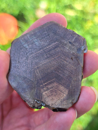 Saphir brun doré de Thaïlande n°5