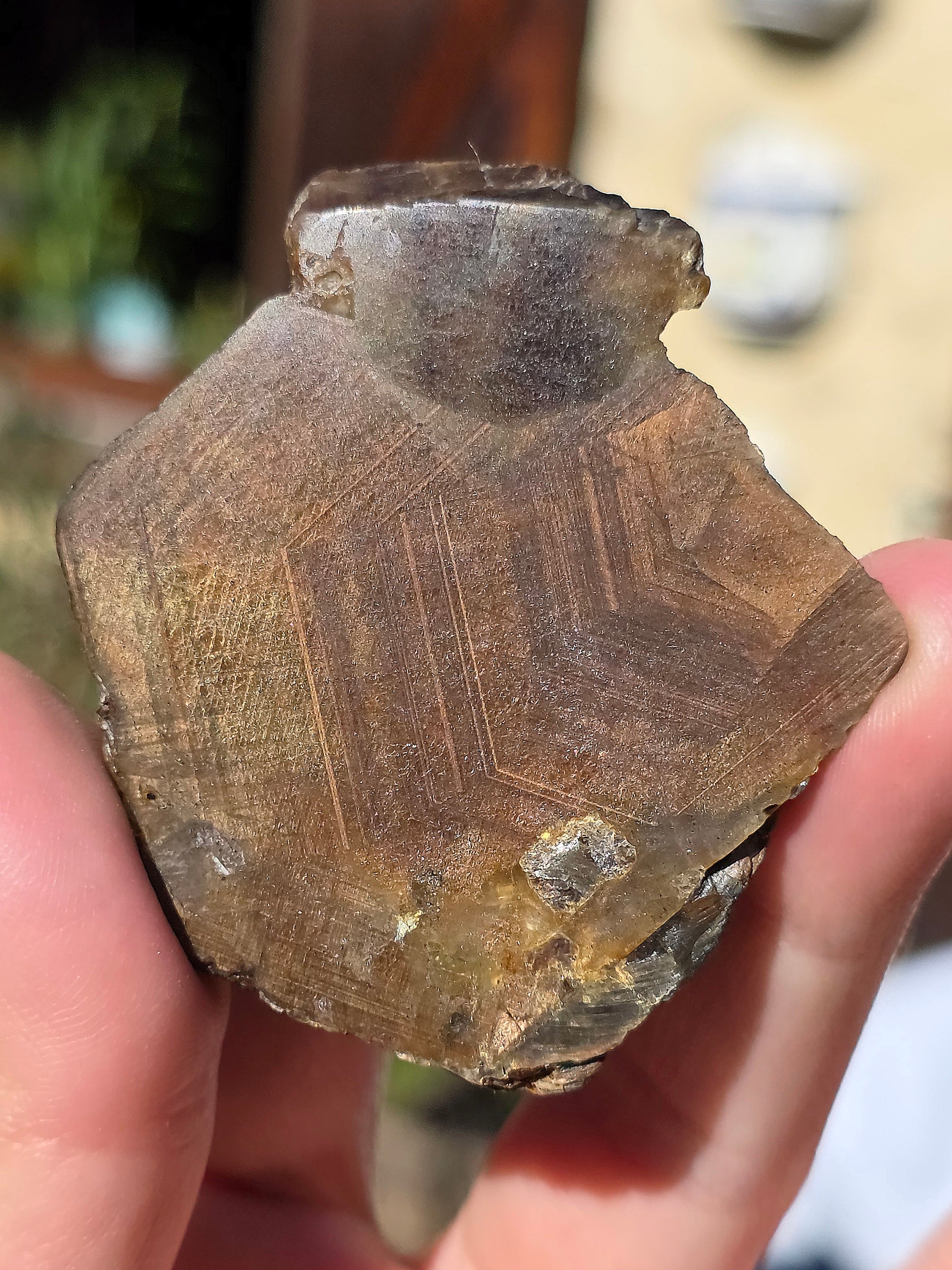 Saphir brun doré de Thaïlande