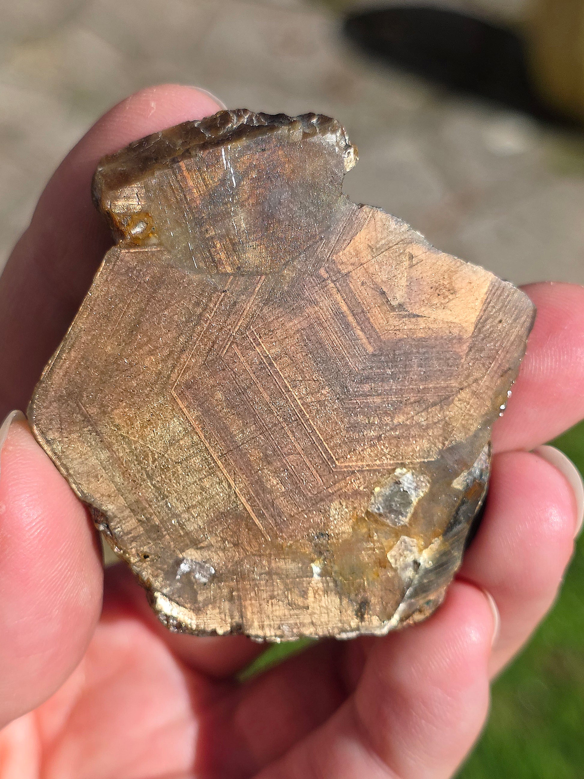 Saphir brun doré de Thaïlande