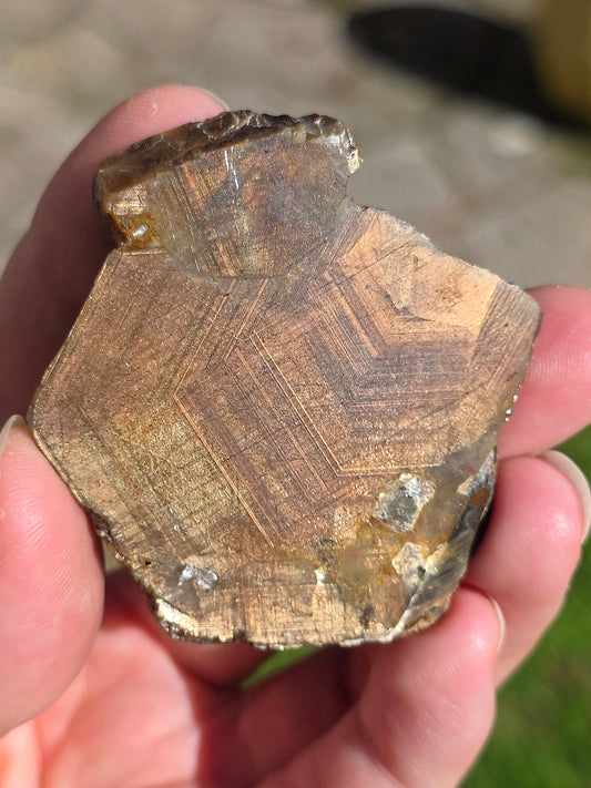 Saphir brun doré de Thaïlande