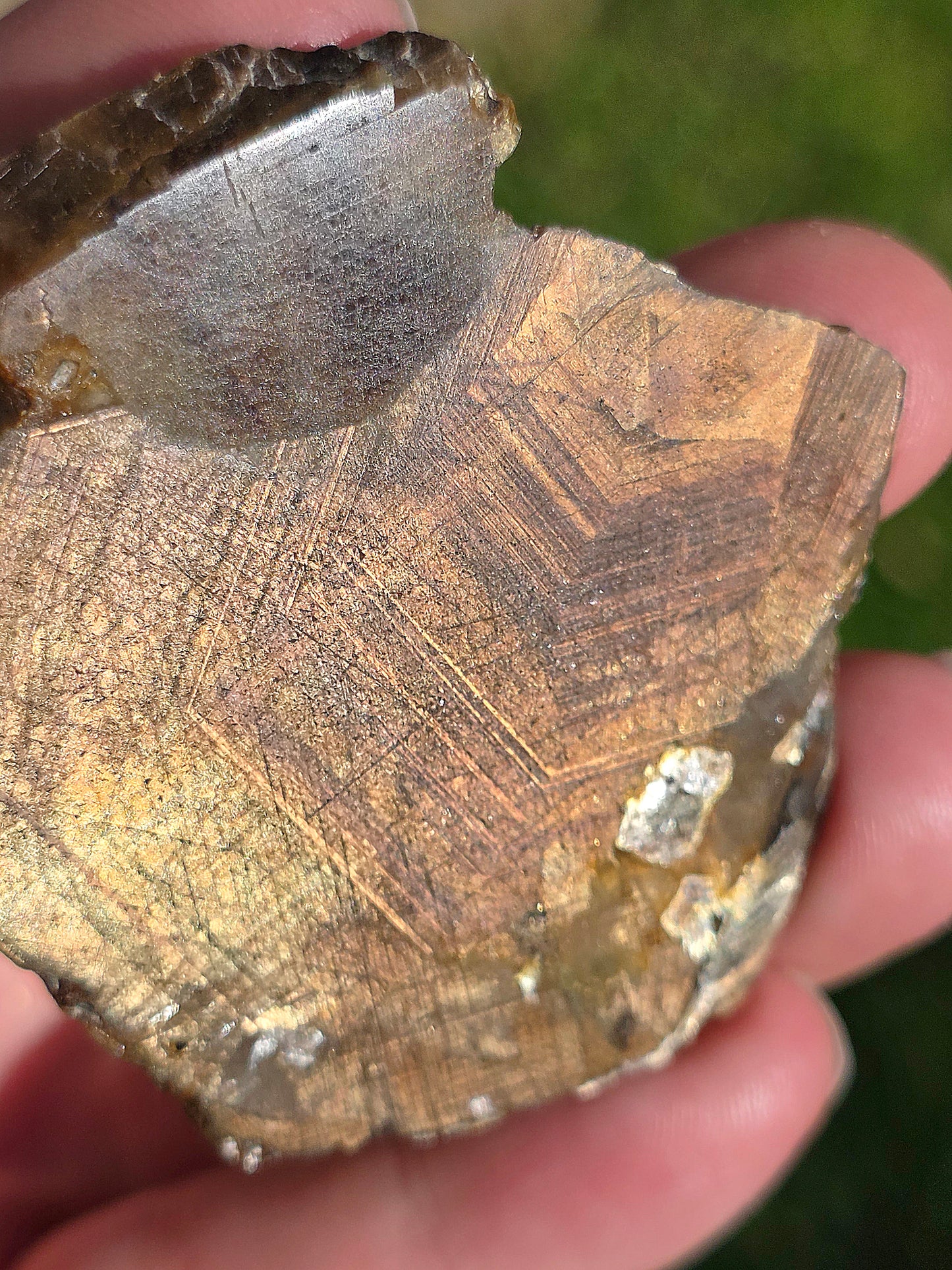 Saphir brun doré de Thaïlande n°6