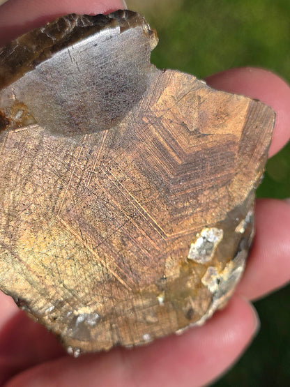 Saphir brun doré de Thaïlande n°6