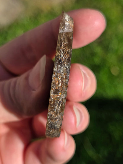 Saphir brun doré de Thaïlande n°6