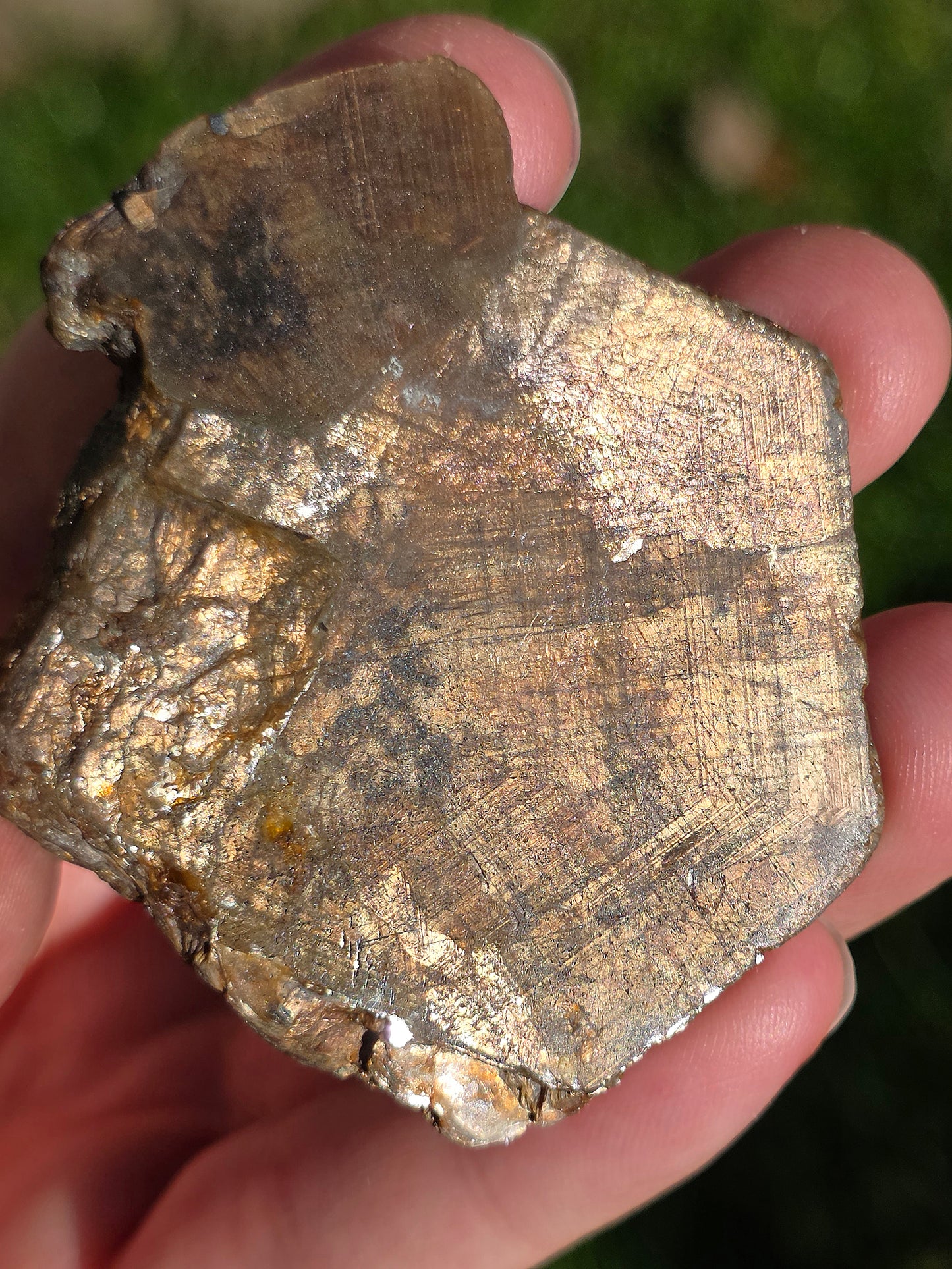 Saphir brun doré de Thaïlande