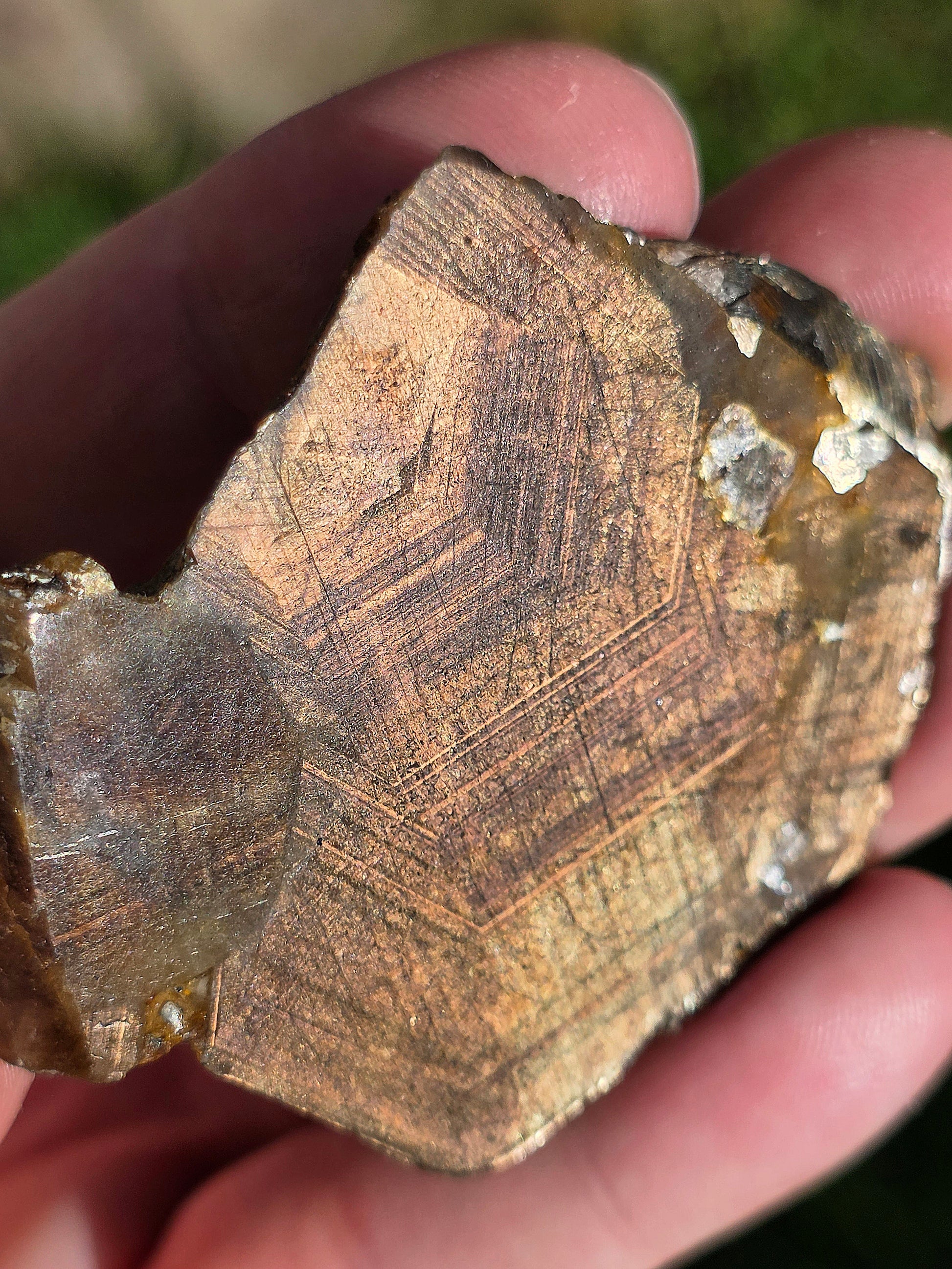 Saphir brun doré de Thaïlande