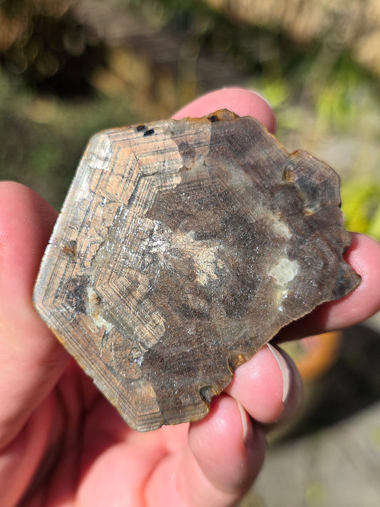 Saphir brun doré brut de Thaïlande