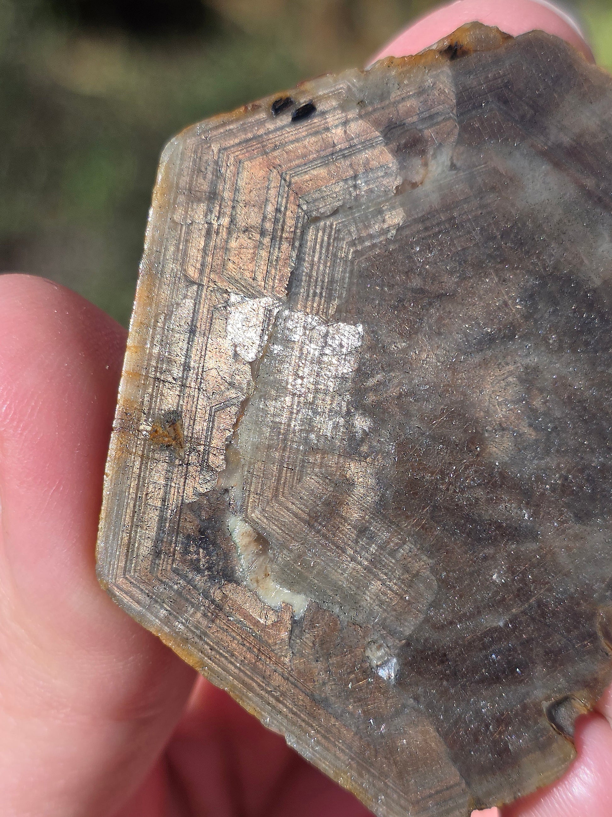 Saphir brun doré brut de Thaïlande