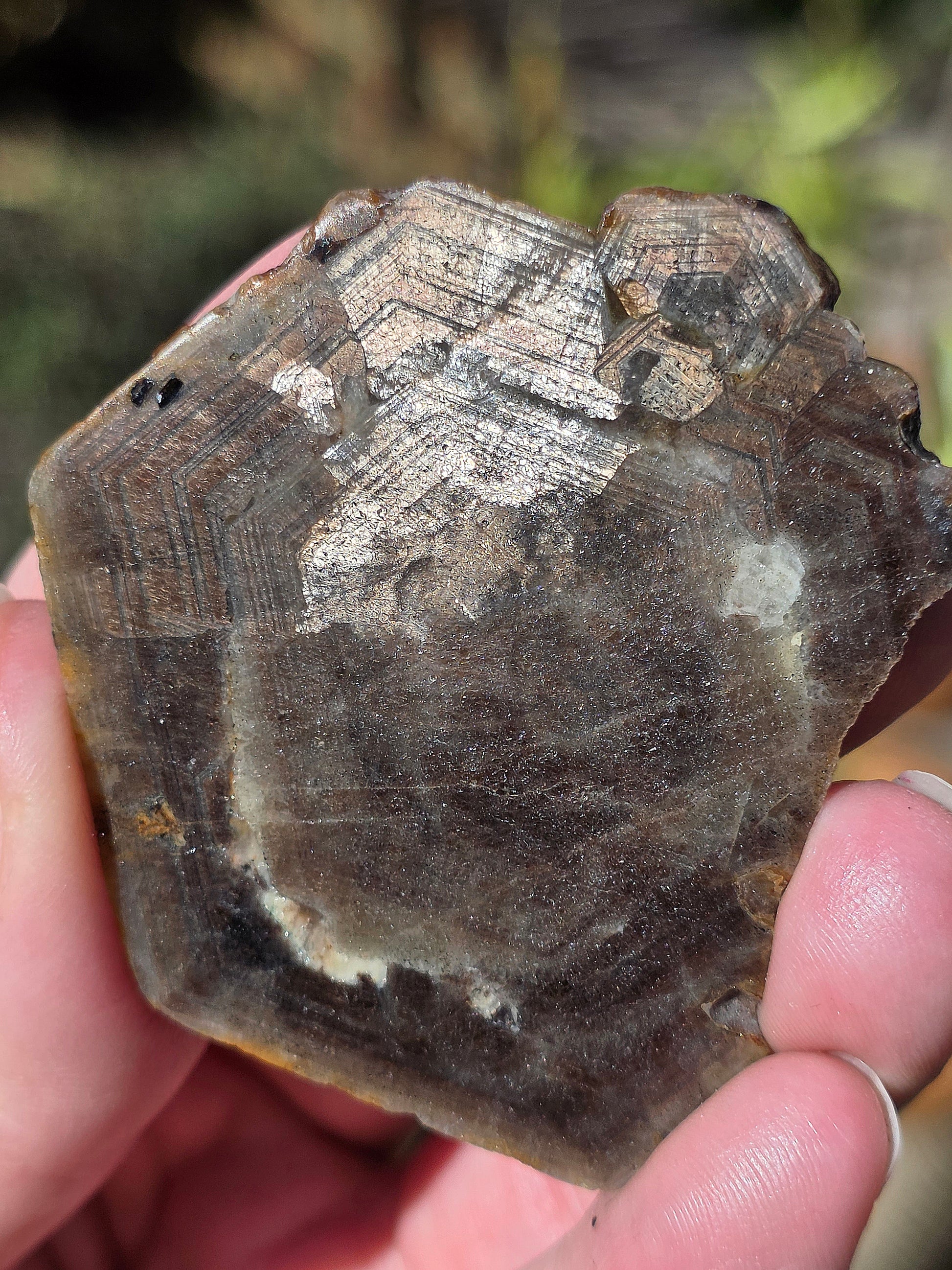 Saphir brun doré brut de Thaïlande