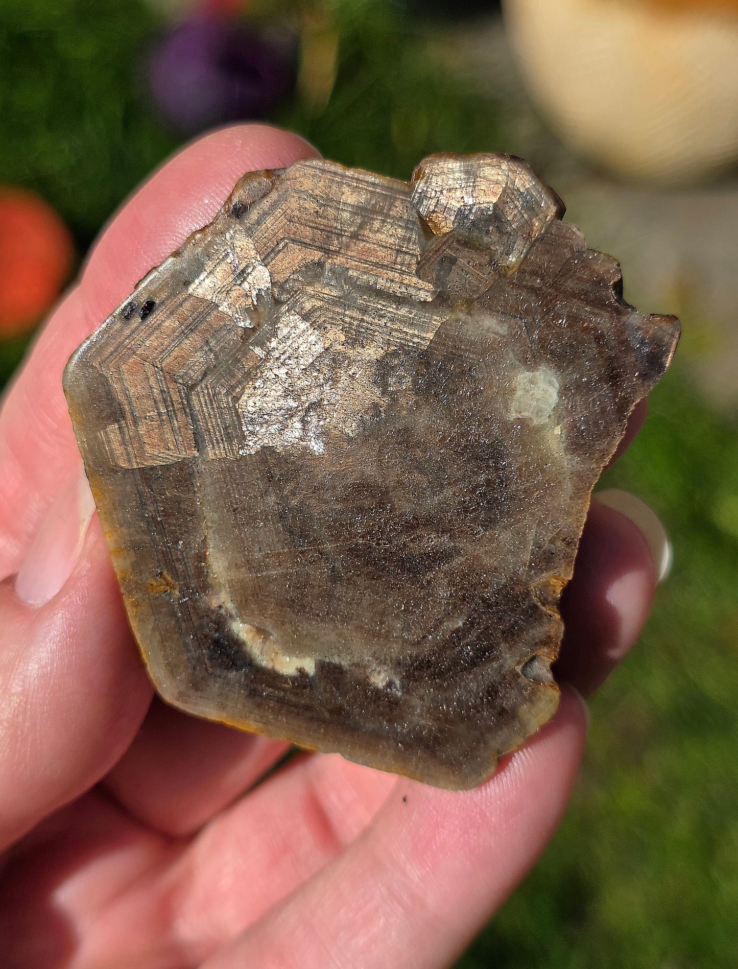 Saphir brun doré brut de Thaïlande