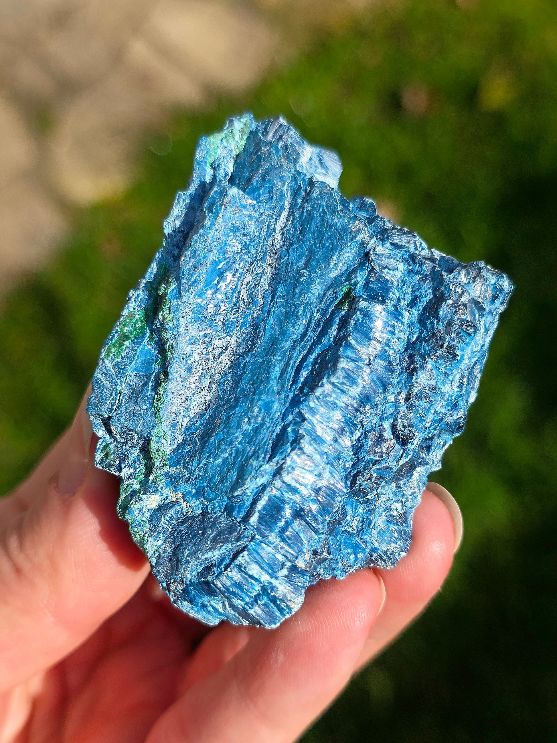 Shattuckite fibreuse du Congo brute