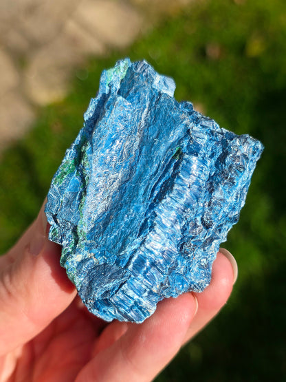Shattuckite fibreuse du Congo brute