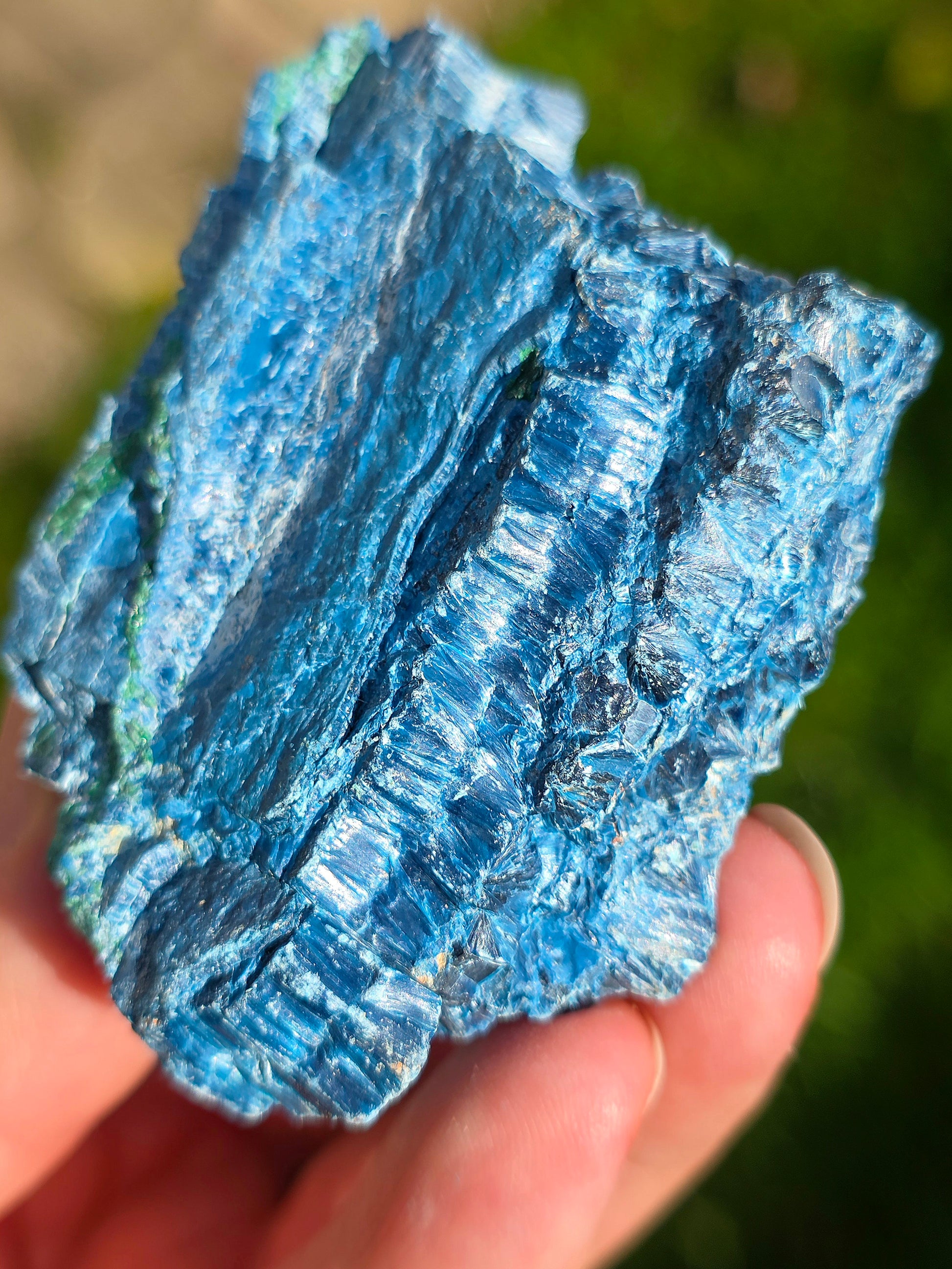 Shattuckite fibreuse du Congo brute