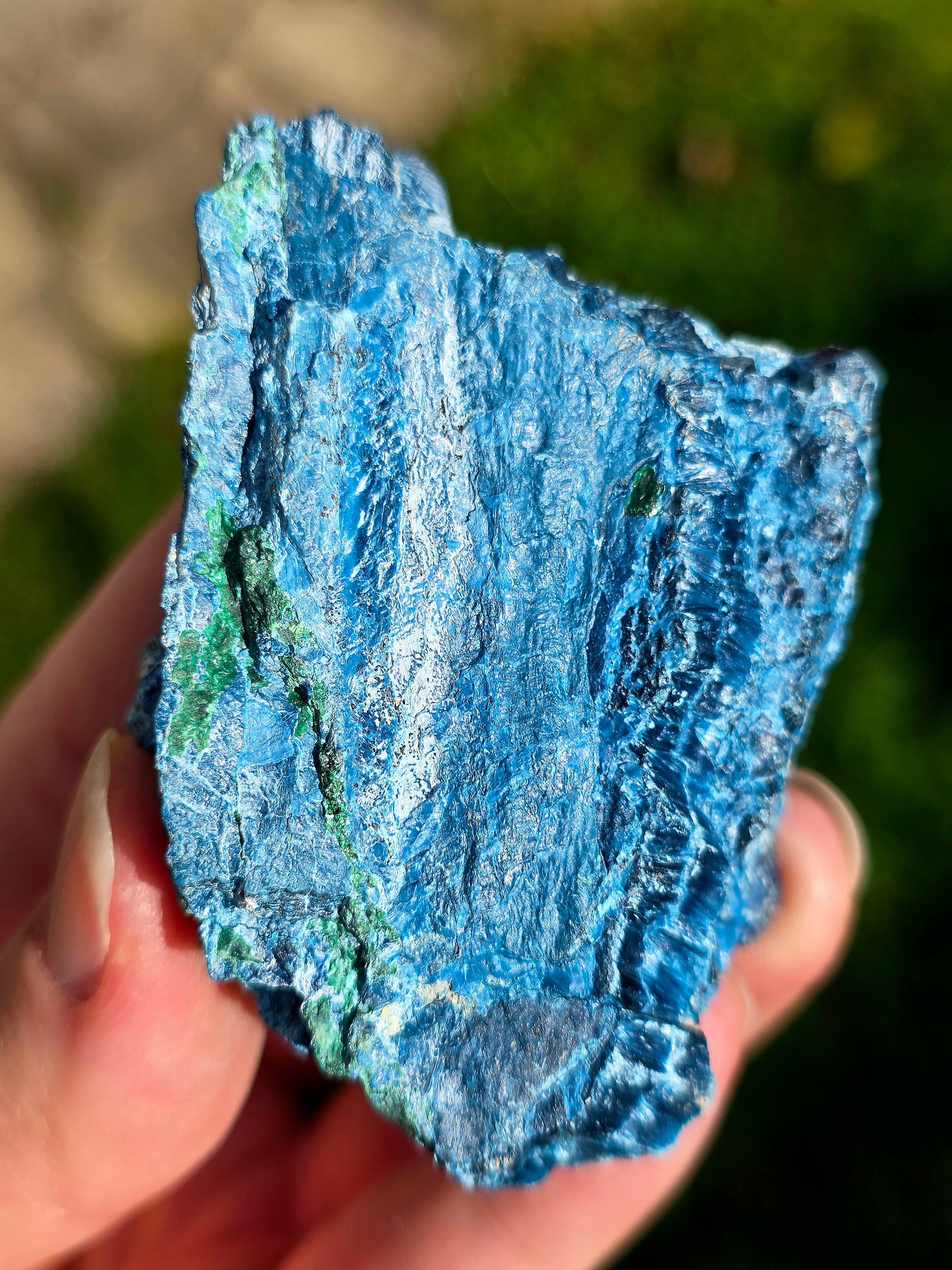 Shattuckite fibreuse du Congo n°2