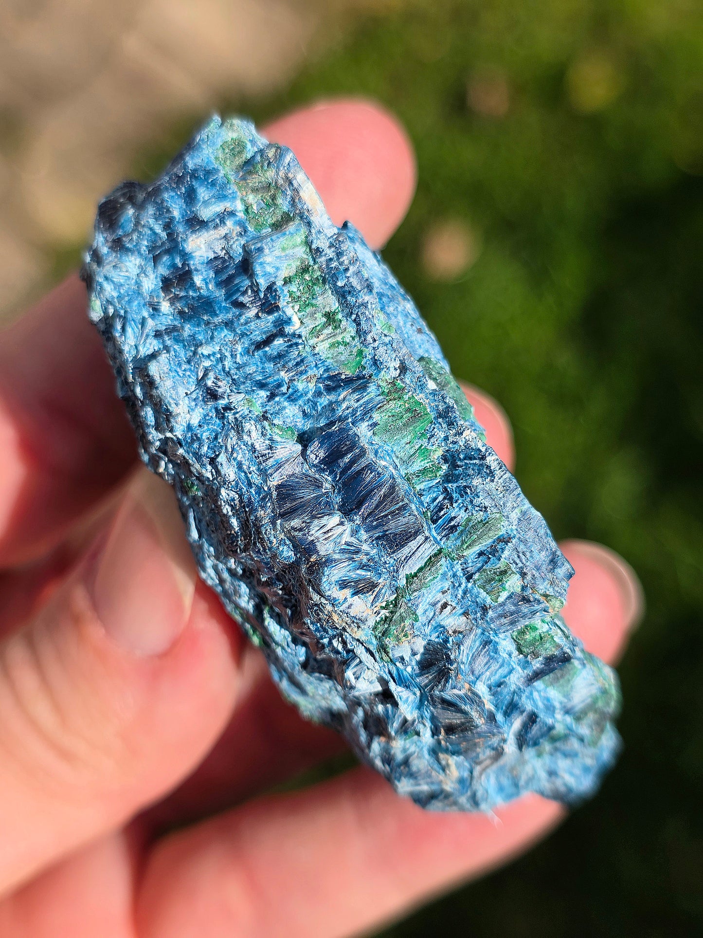 Shattuckite fibreuse du Congo brute