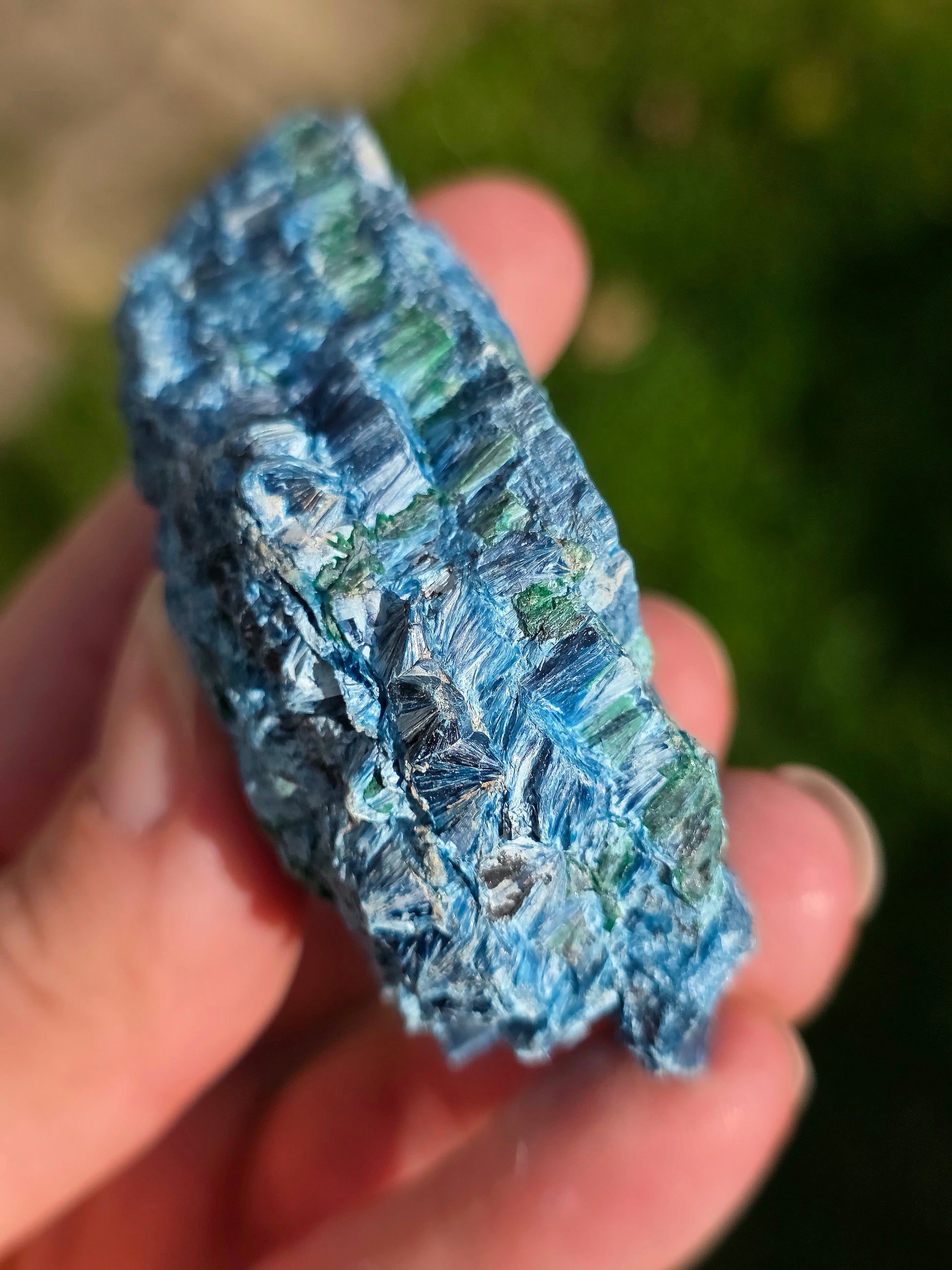 Shattuckite fibreuse du Congo brute