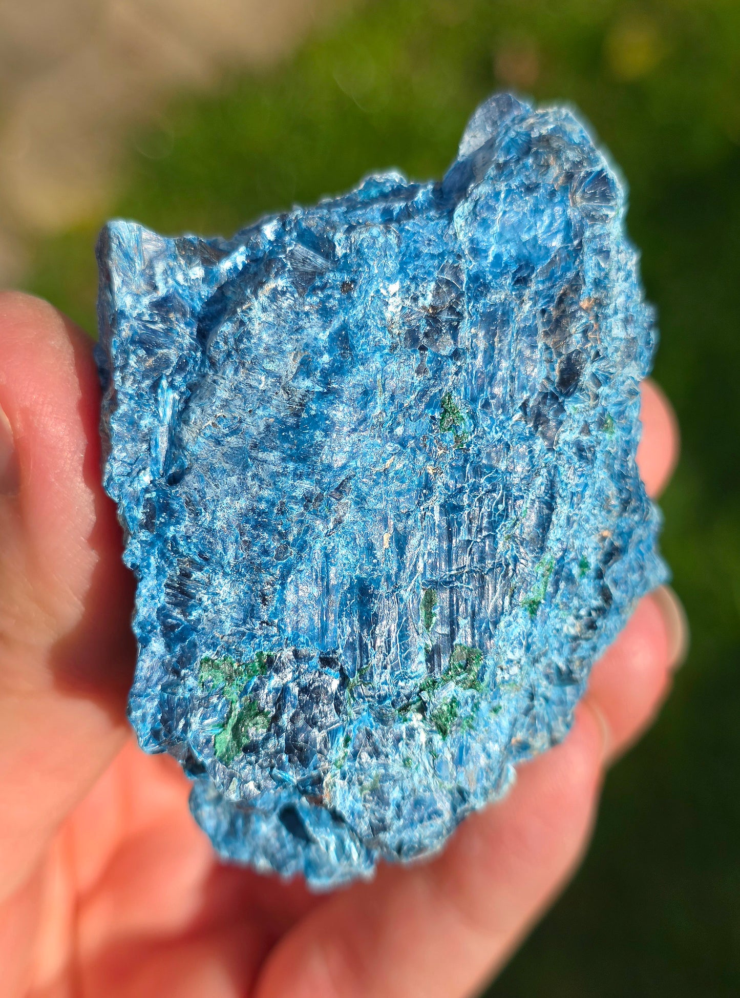 Shattuckite fibreuse du Congo n°2