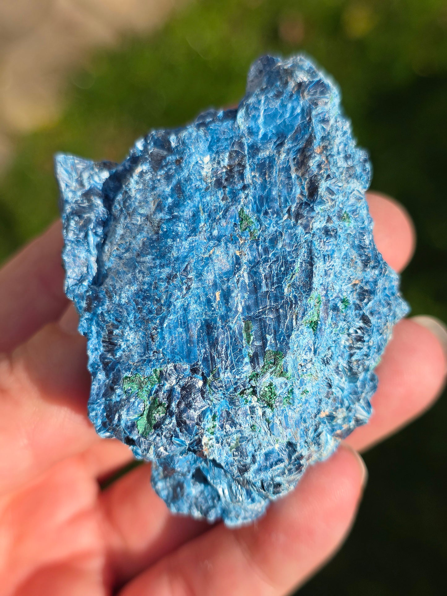 Shattuckite fibreuse du Congo n°2