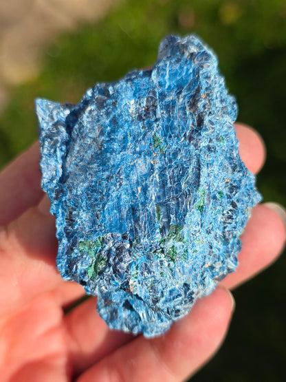 Shattuckite fibreuse du Congo n°2