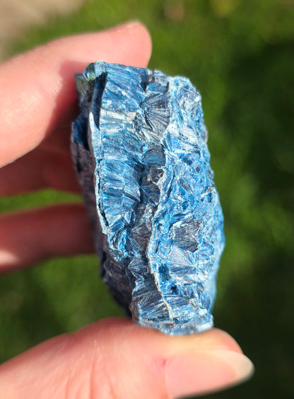 Shattuckite fibreuse du Congo n°2