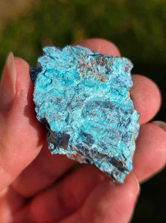 Shattuckite fibreuse Congo