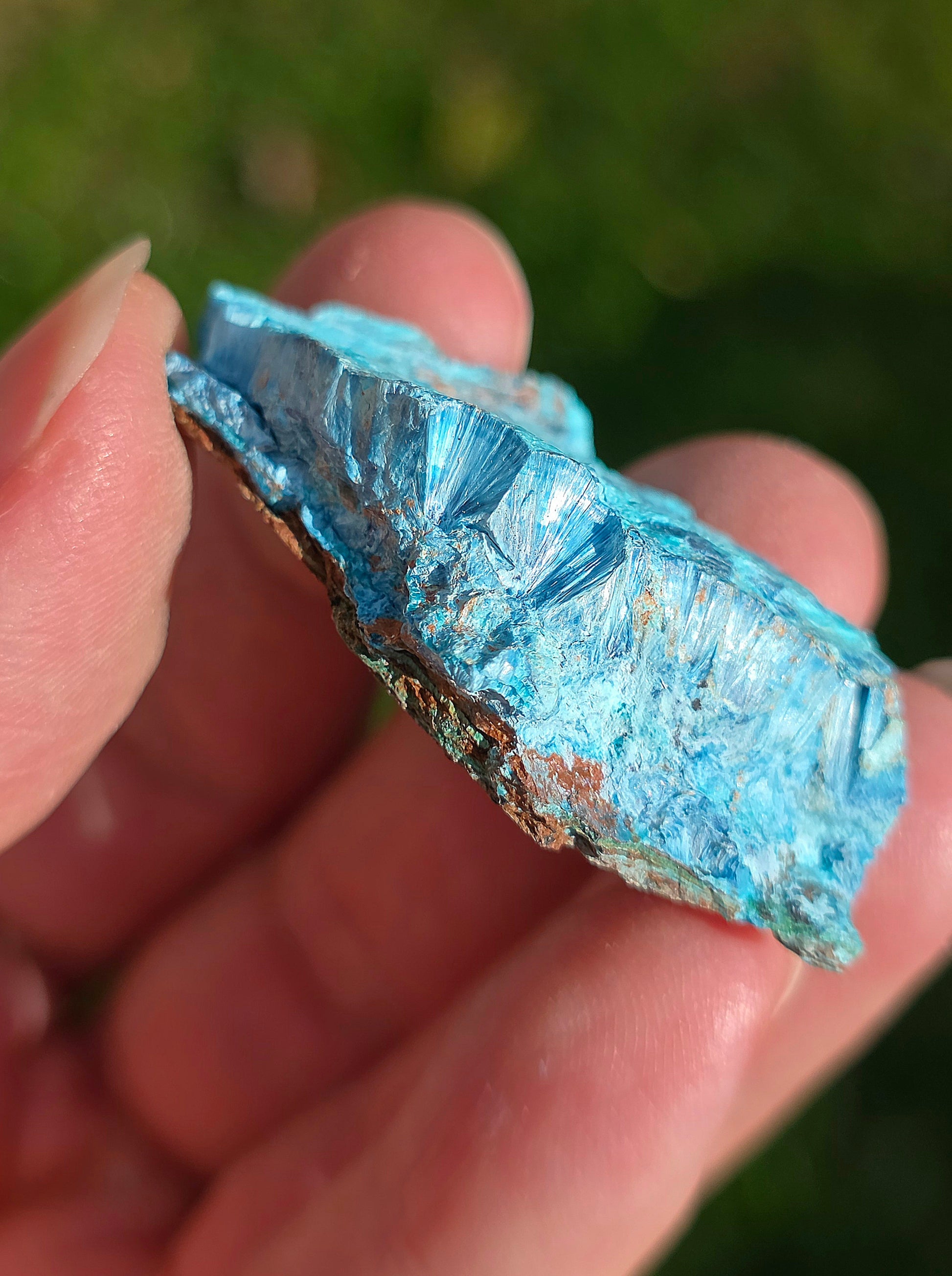 Shattuckite fibreuse Congo