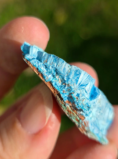 Shattuckite fibreuse du Congo n°3