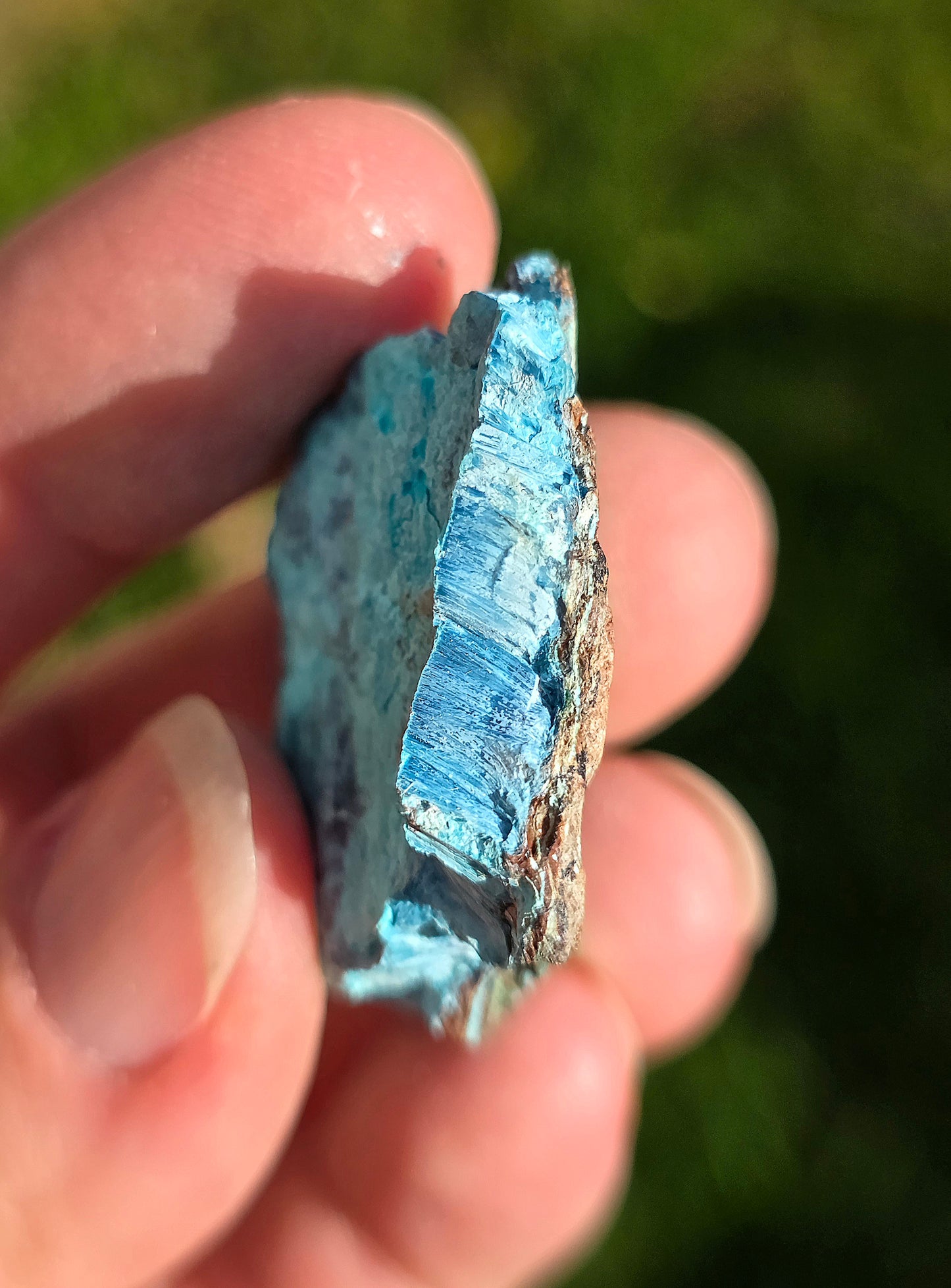 Shattuckite fibreuse du Congo n°3