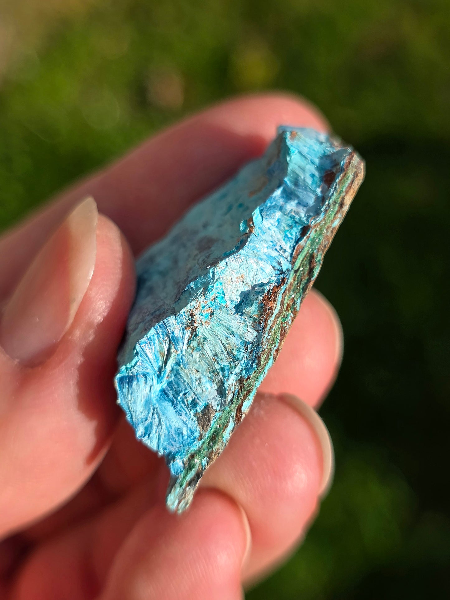 Shattuckite fibreuse du Congo n°3