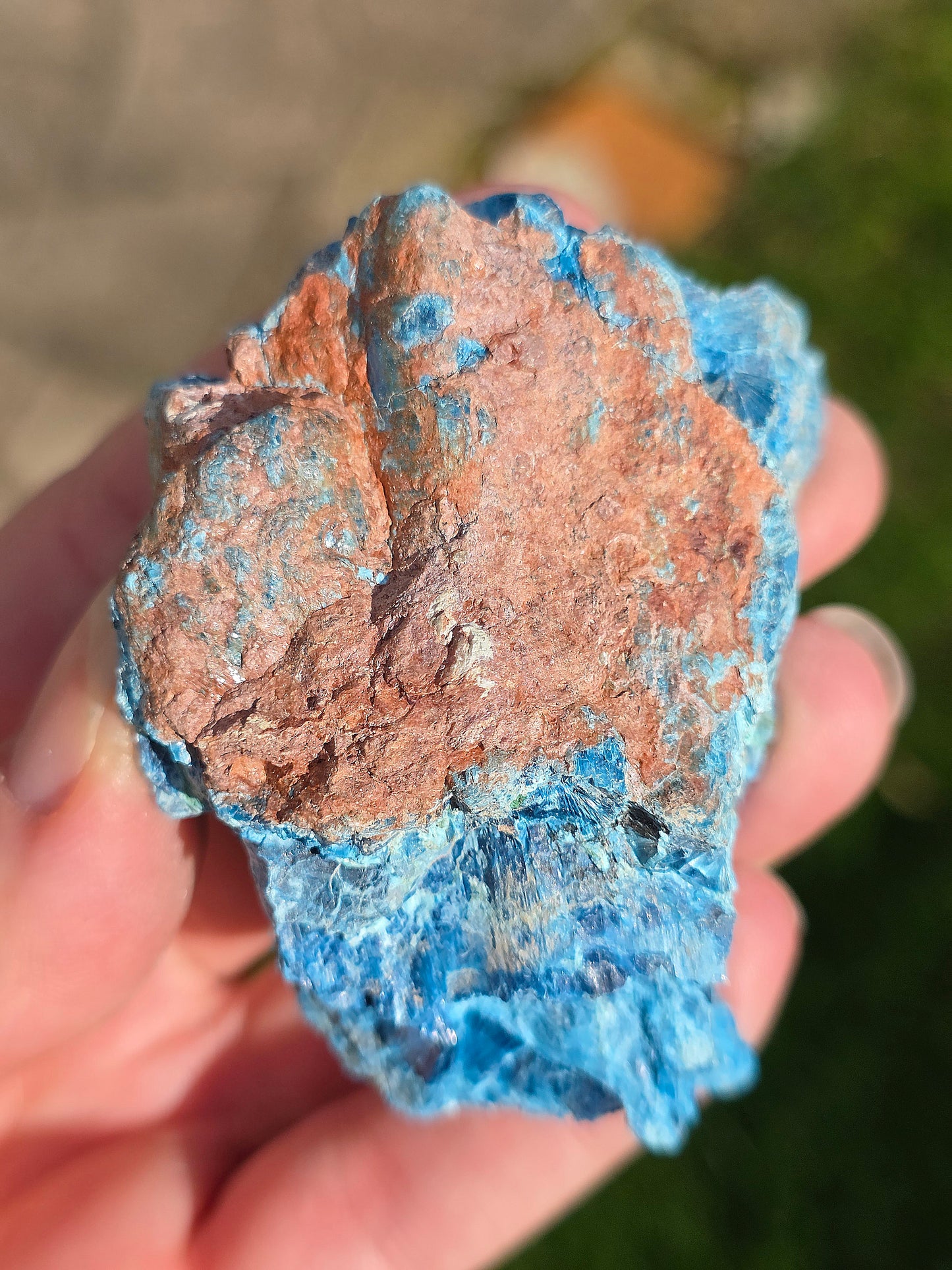 Shattuckite fibreuse du Congo n°6
